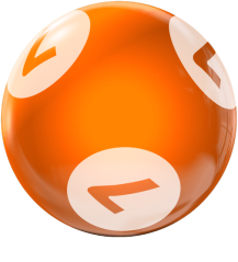BINGO HOUSEBALL 7 LBS