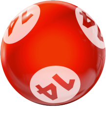 BINGO HOUSEBALL 14 LBS
