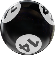 BINGO HOUSEBALL BLACK/WHITE 14 LBS
