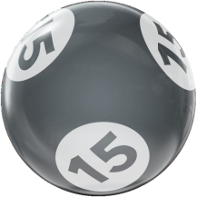 BINGO HOUSEBALL 15 LBS