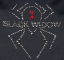 KLOUZACÍ NÁVLEK NA ŠPIČKU BOTY HAMMER BLACK WIDOW  S KAMÍNKY