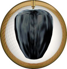ZEN GOLD LABEL