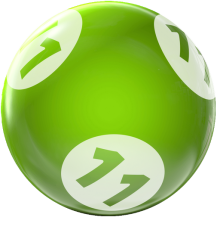 BINGO HOUSEBALL 11 LBS