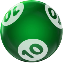 BINGO HOUSEBALL 10 LBS