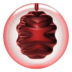 EXOTIC GEM