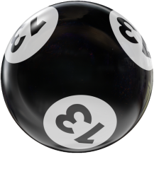 BINGO HOUSEBALL BLACK/WHITE 13 LBS