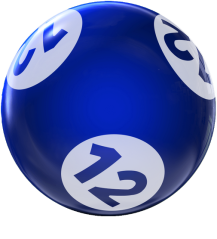 BINGO HOUSEBALL 12 LBS