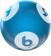 BINGO HOUSEBALL 6 LBS