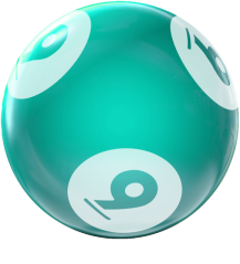 BINGO HOUSEBALL 9 LBS